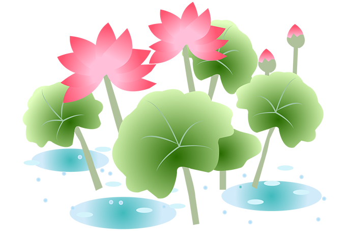 初七日までの過ごし方と供養の仕方